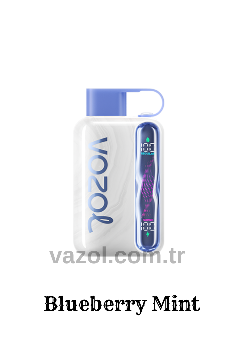 Blueberry Mint - Star 40000 Vazol