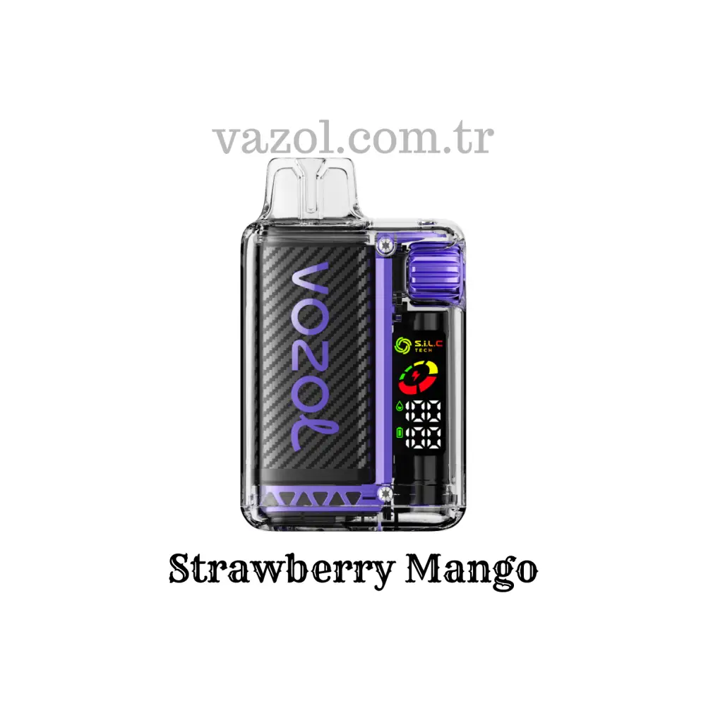 Strawberry Mango - Vista 20000 Vazol