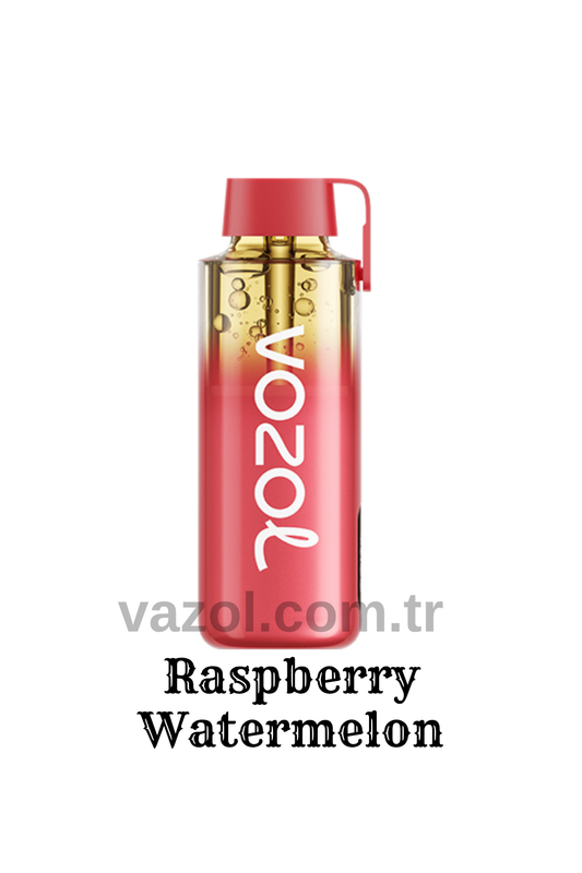 Raspberry Watermelon - Neon 12000 Pro Vazol