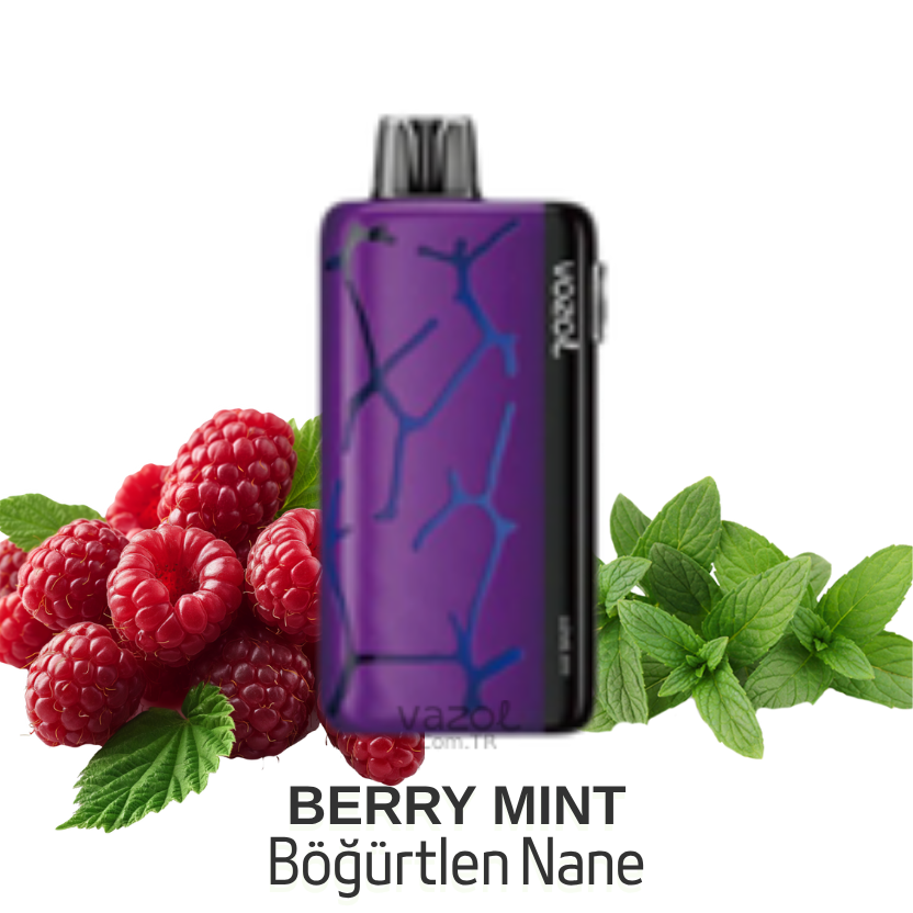 Berry Mint - Neon 45000 Vazol