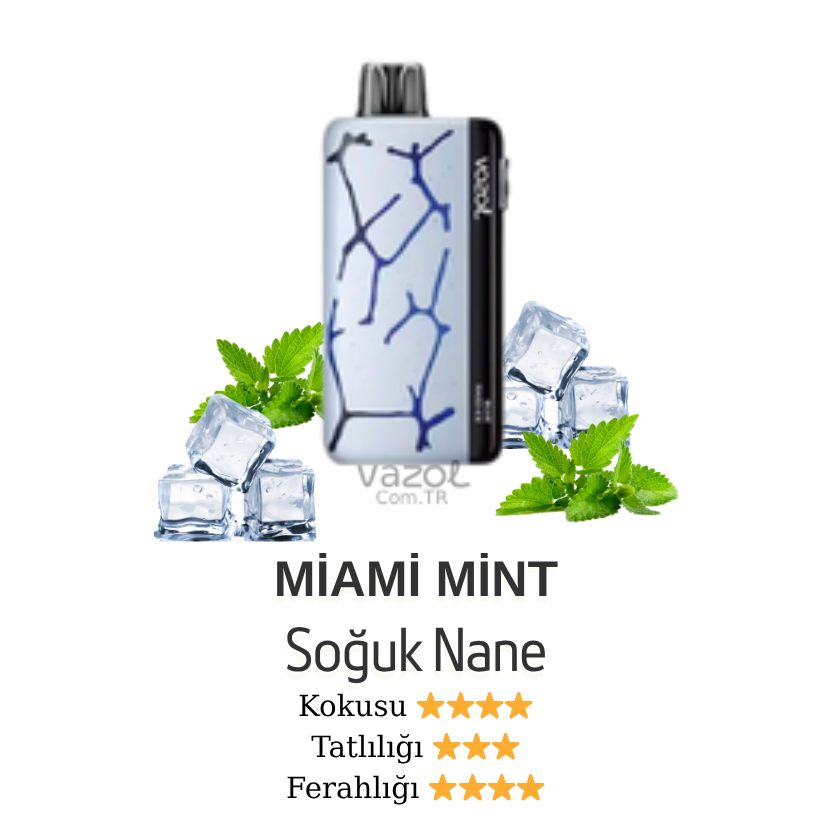 Miami Mint - Neon 45000 Vazol