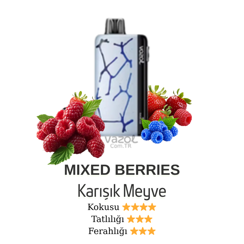 Mixed Berries - Neon 45000 Vazol