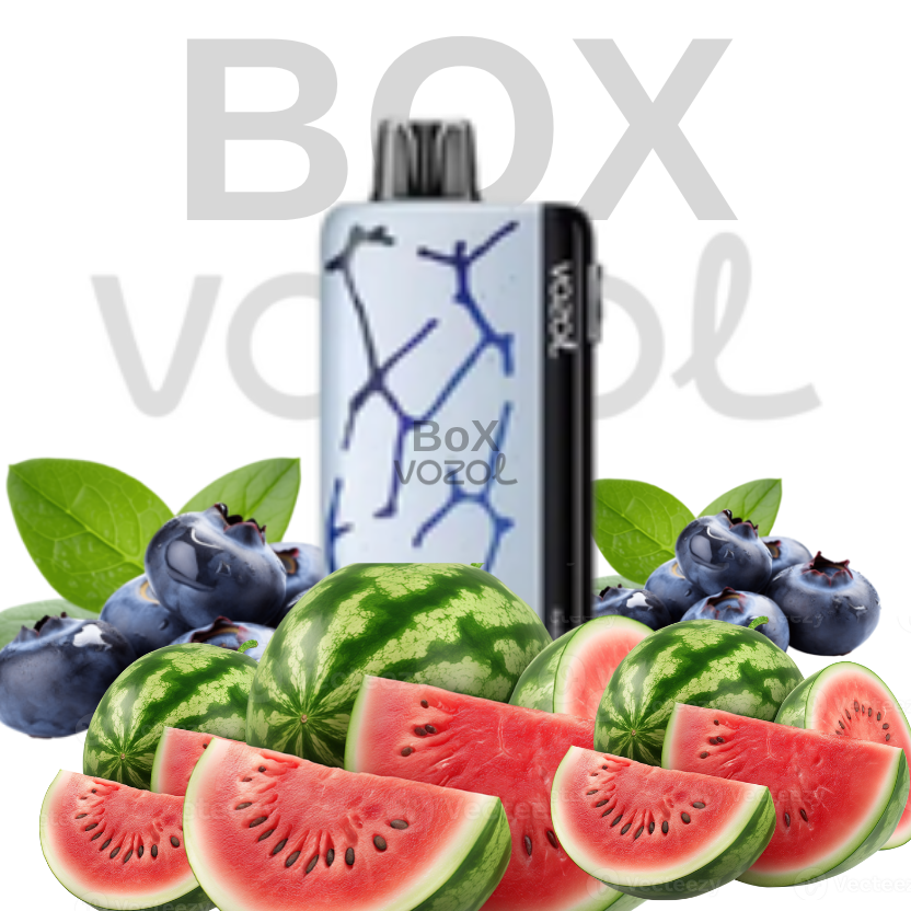 Vozol 45000 Puff - Watermelon Razz Rancher - Neon