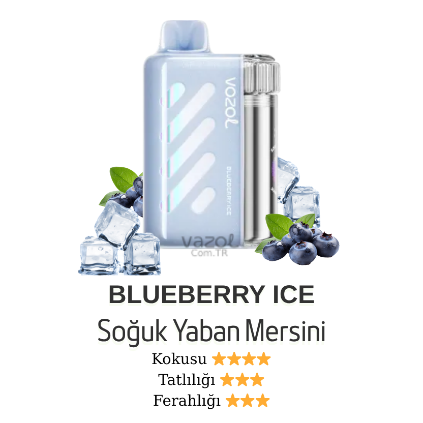 Blueberry Ice - Vista 40000 Vazol