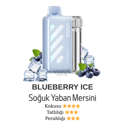 Blueberry Ice - Vista 40000 Vazol