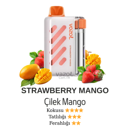 Strawberry Mango - Vista 40000 Vazol