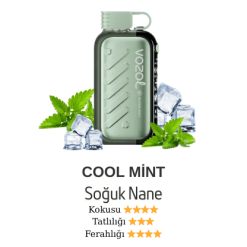 Vozol Gear 50000 - Super Mi̇nt