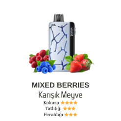 Vozol Neon 45000 - Mixed Berries