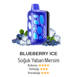 Vozol Rave 40000 - Blueberry Ice
