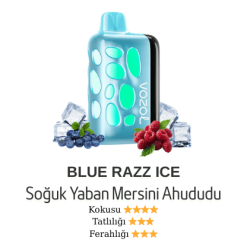 Vozol Rave 40000 - Blue Razz Ice
