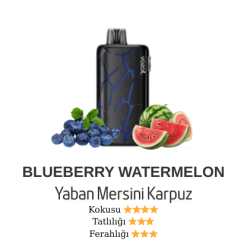 Vozol Neon 45000 - Blueberry Watermelon