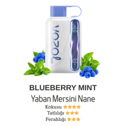 Vozol Star 40000 - Blueberry Mint