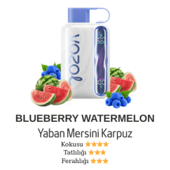 Vozol Star 40000 - Blueberry Watermelon
