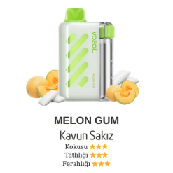 Vozol Vista 40000 - Melon Gum