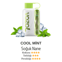 Vozol Star 40000 - Cool Mi̇nt
