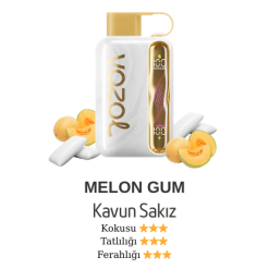 Vozol Star 40000 - Melon Gum